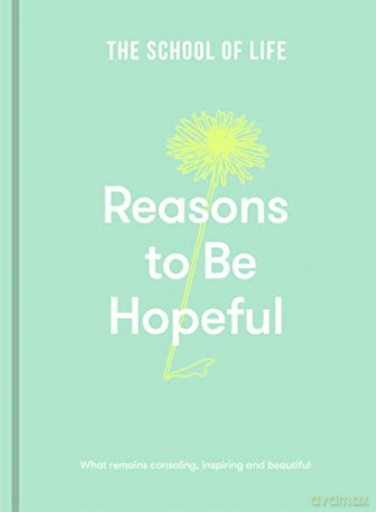 Reasons to be Hopeful: what remains consoling, inspiring and beautiful [KSIĄŻKA]