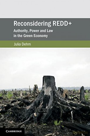 Reconsidering REDD+: Authority, Power and Law in the Green Economy - Julia Dehm [KSIĄŻKA]