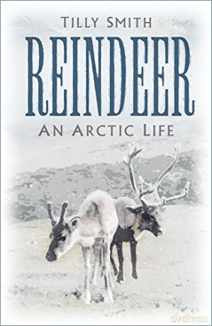 Reindeer: An Arctic Life - Tilly Smith [KSIĄŻKA]