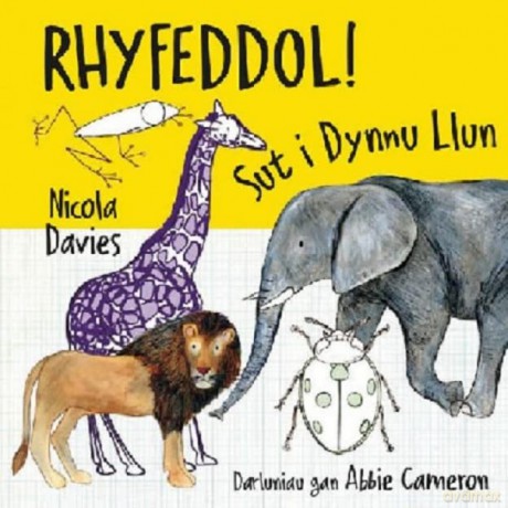 Rhyfeddol! Sut i Dynnu Llun: 1 - Nicola Davies [KSIĄŻKA]