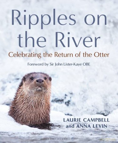 Ripples on the River: Celebrating the Return of the Otter - Laurie Campbell [KSIĄŻKA]