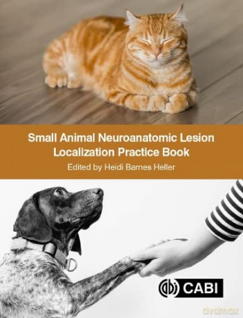 Small Animal Neuroanatomic Lesion Localization Practice Book - Heidi Barnes Heller [KSIĄŻKA]