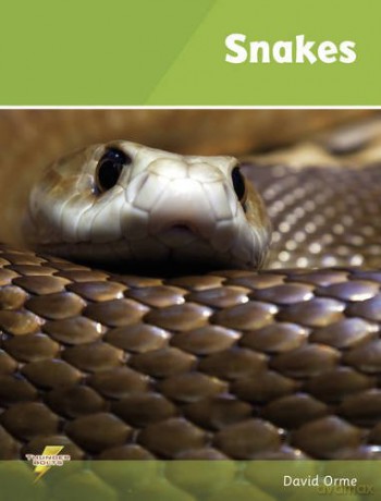 Snakes: Set 1 - David and Helen Orme [KSIĄŻKA]
