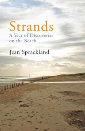 Strands: A Year of Discoveries on the Beach - Jean Sprackland [KSIĄŻKA]