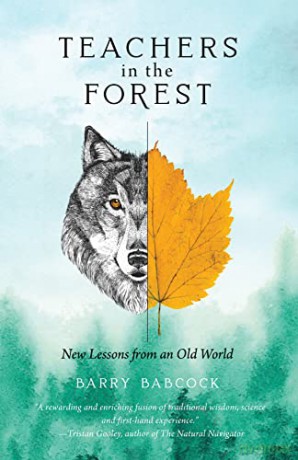 Teachers in the Forest: New Lessons from an Old World - Barry Babcock [KSIĄŻKA]