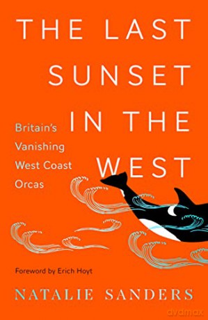 The Last Sunset in the West: Britain's Vanishing West Coast Orcas - Natalie Sanders [KSIĄŻKA]