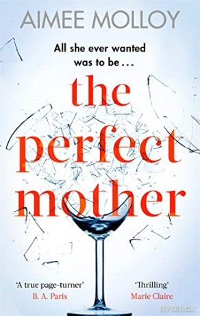 The Perfect Mother: A gripping thriller with a nail-biting twist - Aimee Molloy [KSIĄŻKA]