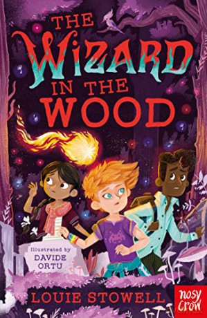 The Wizard in the Wood - Louie Stowell [KSIĄŻKA]