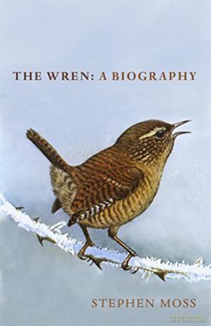 The Wren: A Biography - Stephen Moss [KSIĄŻKA]