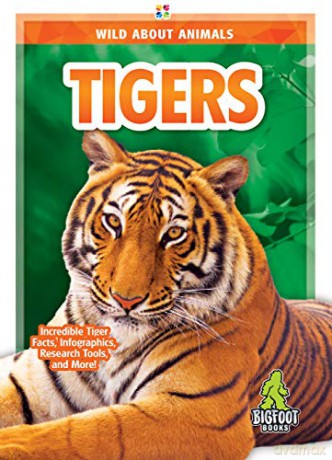 Tigers - Emma Huddleston [KSIĄŻKA]