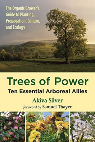 Trees of Power: Ten Essential Arboreal Allies - Akiva Silver [KSIĄŻKA]