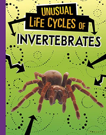 Unusual Life Cycles of Invertebrates - Jaclyn Jaycox [KSIĄŻKA]