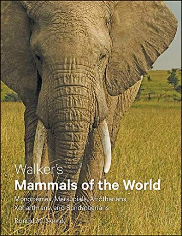 Walker's Mammals of the World: Monotremes, Marsupials, Afrotherians, Xenarthrans, and Sundatherians - Ronald M. Nowak [KSIĄŻKA]