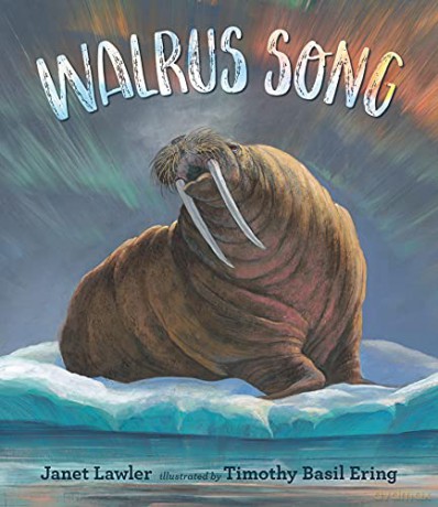 Walrus Song: 1 - Janet Lawler [KSIĄŻKA]