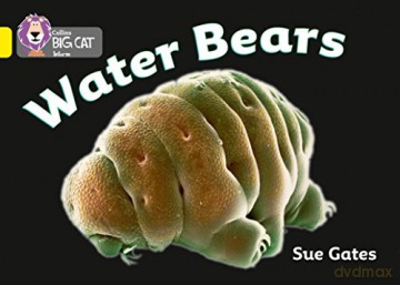 Water Bears: Band 03/Yellow - Susan Gates [KSIĄŻKA]
