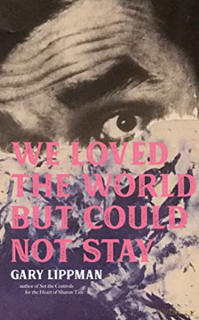 We Loved the World But Could Not Stay: A Collection of One-Sentence Stories - Gary Lippman [KSIĄŻKA]