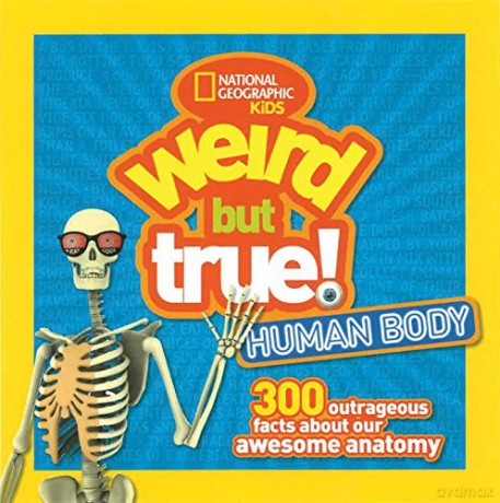 weird but true: human body: 300 Outrageous Facts about Your Awesome Anatomy - ng kids [KSIĄŻKA]