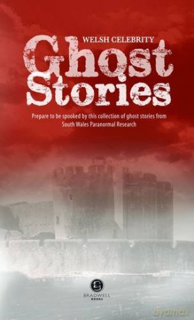 Welsh Celebrity Ghost Stories: Shiver Your Way Around Wales with These Terrifying Stories - Neil Walden [KSIĄŻKA]