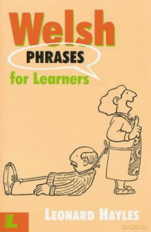 Welsh Phrases for Learners - Leonard Hayles [KSIĄŻKA]