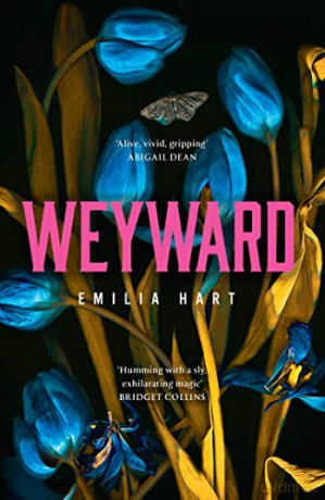 Weyward: Discover the unique, original and unforgettable fiction debut novel of 2023 - a BBC 2 Between the Covers Book Club Pick and #2 Times Bestseller - Emilia Hart [KSIĄŻKA]