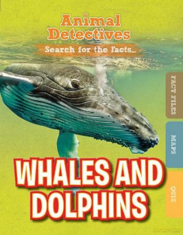 Whales and Dolphins - Anne O'Daly [KSIĄŻKA]