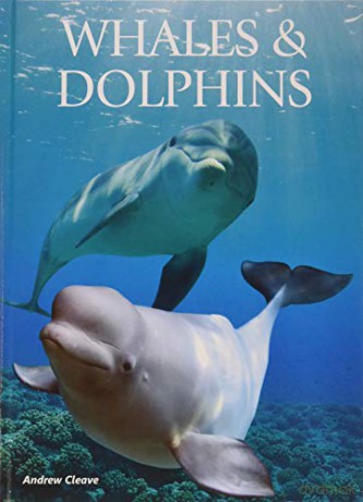 Whales and Dolphins - Andrew Cleave [KSIĄŻKA]