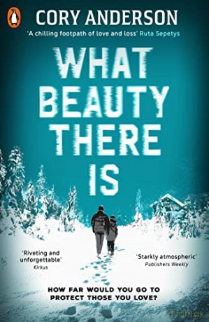 What Beauty There Is - Cory Anderson [KSIĄŻKA]