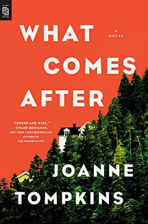 What Comes After: A Novel - JoAnne Tompkins [KSIĄŻKA]