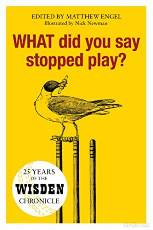WHAT Did You Say Stopped Play: 25 Years of the Wisden Chronicle - Matthew Engel [KSIĄŻKA]