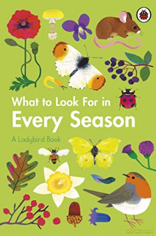 What to Look For in Every Season: A Ladybird Book Boxset - Elizabeth Jenner [KSIĄŻKA]