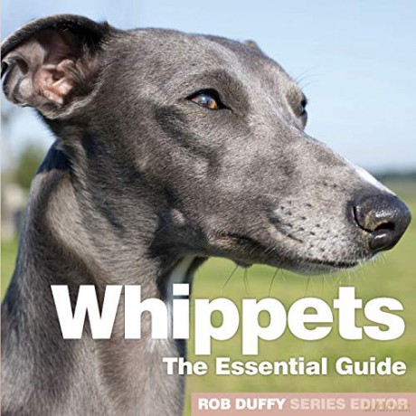 Whippets: The Essential Guide - Rob Duffy [KSIĄŻKA]