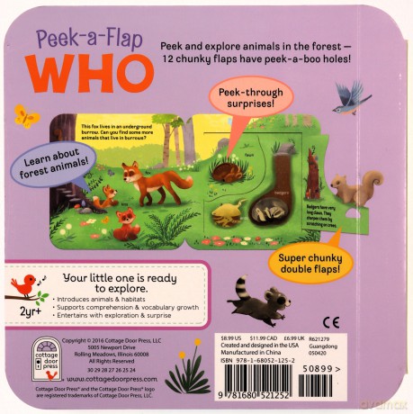 Who: Peek a Flap Childrens Board Book - Jaye Garnett [KSIĄŻKA]