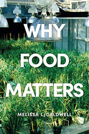 Why Food Matters: Critical Debates in Food Studies - Melissa Caldwell [KSIĄŻKA]