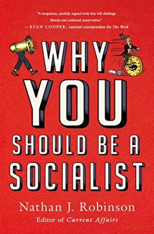 Why You Should Be a Socialist - Nathan J Robinson [KSIĄŻKA]