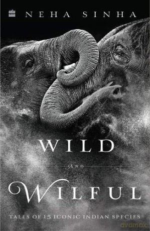 Wild And Wilful - Sinha [KSIĄŻKA]