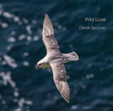 Wild Looe - Derek Spooner [KSIĄŻKA]