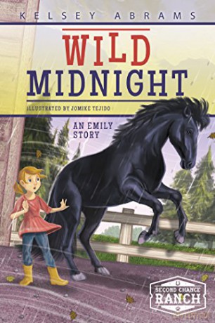 Wild Midnight: An Emily Story - Jomike Tejido Kelsey Abrams [KSIĄŻKA]