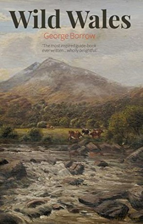 Wild Wales - George Borrow [KSIĄŻKA]
