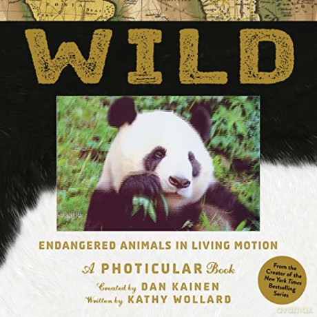 Wild: A Photicular Book - Dan Kainen [KSIĄŻKA]