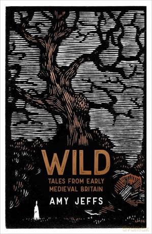 Wild: Tales from Early Medieval Britain - Amy Jeffs [KSIĄŻKA]