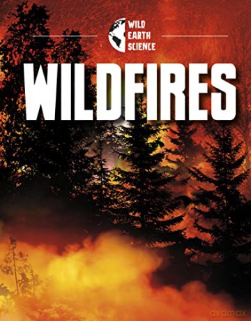 Wildfires - Jaclyn Jaycox [KSIĄŻKA]