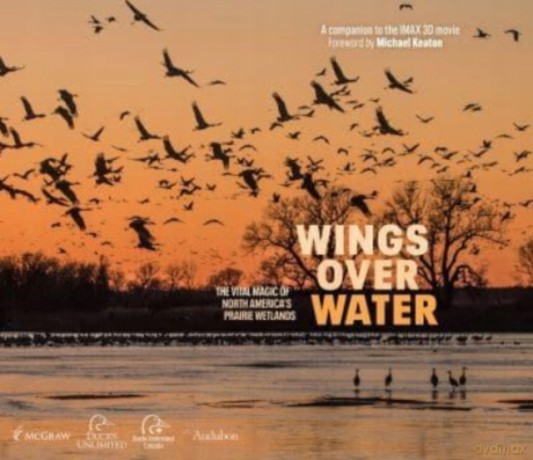 Wings Over Water: The Vital Magic of North America's Prairie Wetlands - Wings for Wetlands LLC [KSIĄŻKA]