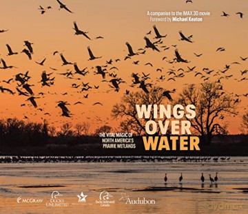 Wings Over Water: The Vital Magic of North America's Prairie Wetlands - Wings for Wetlands LLC [KSIĄŻKA]