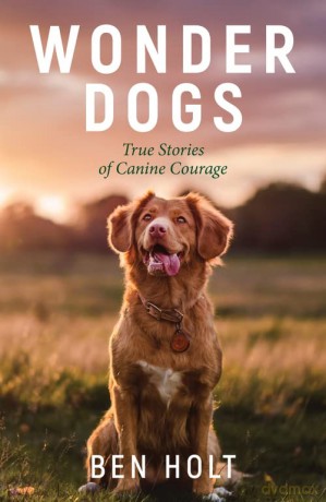 Wonder Dogs: Inspirational True Stories of Real-Life Dog Heroes That Will Melt Your Heart - Ben Holt [KSIĄŻKA]