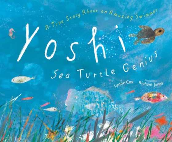 Yoshi, Sea Turtle Genius: A True Story about an Amazing Swimmer - Lynne Cox [KSIĄŻKA]