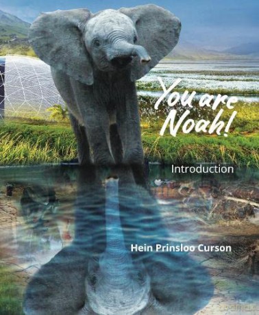 You are Noah!: Introduction: 1 - Hein Prinsloo Curson [KSIĄŻKA]