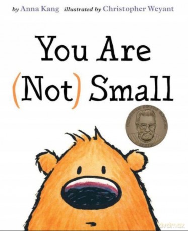 You Are Not Small: 1 - AnnaKang [KSIĄŻKA]