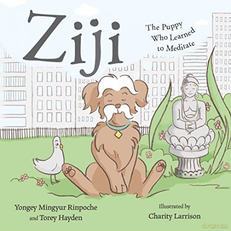 Ziji: The Puppy Who Learned to Meditate - Yongey Mingyur [KSIĄŻKA]