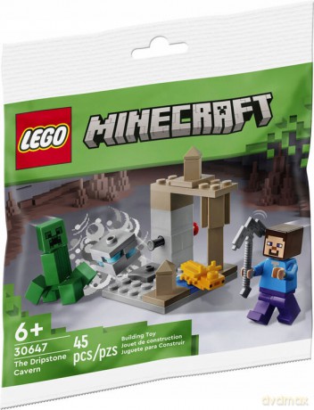 LEGO Minecraft Jaskinia naciekowa (30647) [KLOCKI]