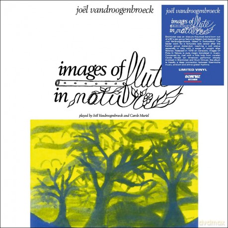 Joel Vandroogenbroeck: Images Of Flute In Nature [Winyl]